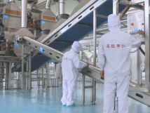 2025年的第一個月，承德亞歐果仁有限公司在山杏產業(yè)的道路上持續(xù)奮進，展現(xiàn)出蓬勃的發(fā)展活力。